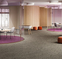 Balanced Hues Коллекция Balanced Hues Balanced Hues 455 фото 2 | FLOORDEALER